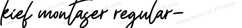 kief montaser regular字体转换